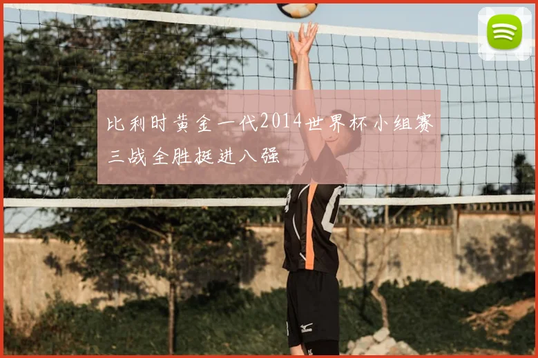 比利时黄金一代2014世界杯小组赛三战全胜挺进八强