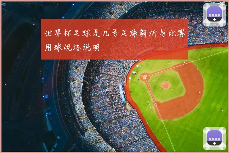 世界杯足球是几号足球解析与比赛用球规格说明